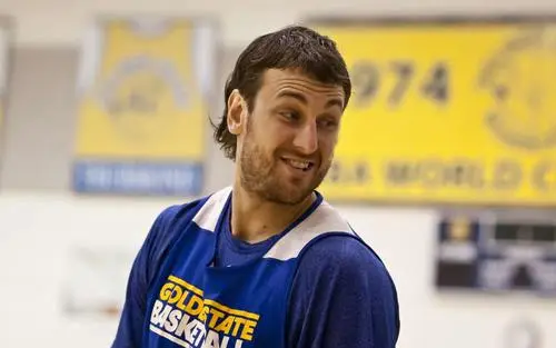 Andrew Bogut Wall Poster picture 715409