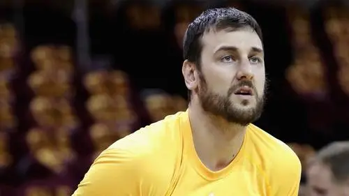 Andrew Bogut Wall Poster picture 715411
