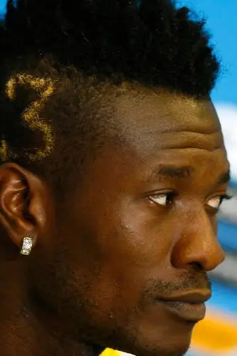 Asamoah Gyan Wall Poster picture 281537