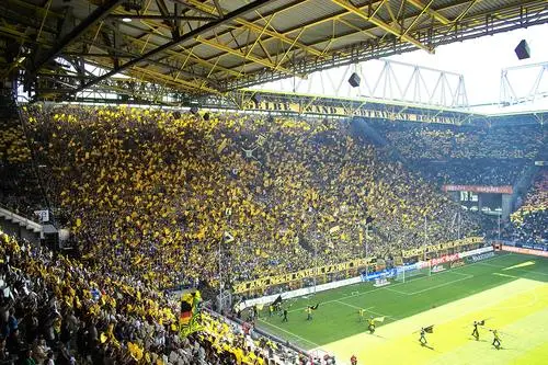 Borussia Dortmund Fridge Magnet picture 216278