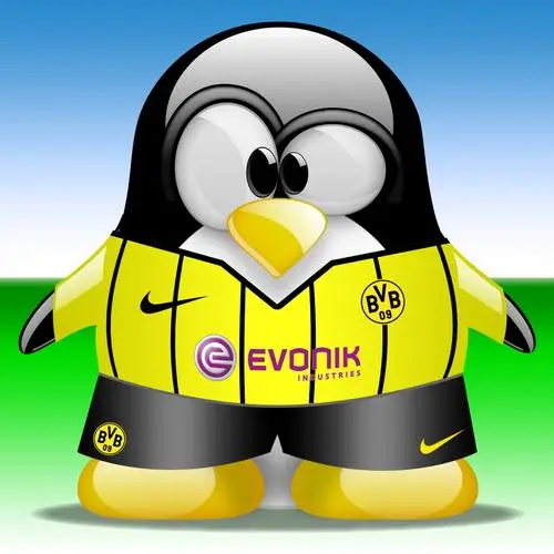 Borussia Dortmund Women's Colored Hoodie - idPoster.com