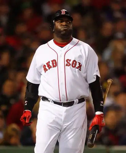 Boston Red Sox Fridge Magnet picture 50088