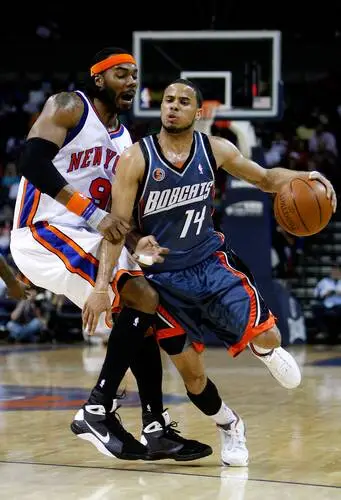 Charlotte Bobcats Image Jpg picture 59440