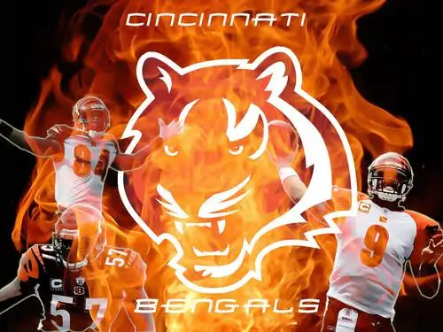 Cincinnati Bengals Fridge Magnet picture 304696