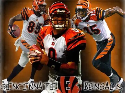 Cincinnati Bengals Fridge Magnet picture 58186