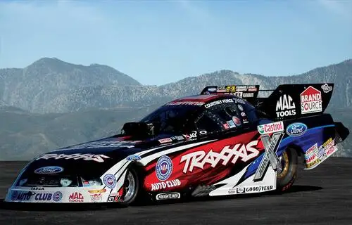 Courtney Force Fridge Magnet picture 309166