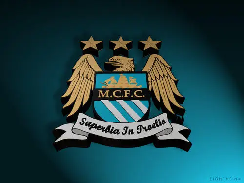 Manchester City Fridge Magnet picture 147737
