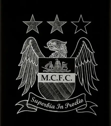 Manchester City Fridge Magnet picture 147868