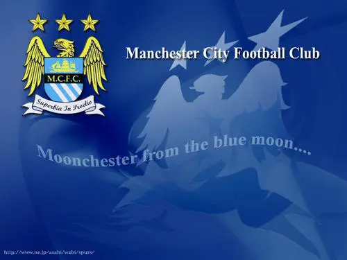 Manchester City Fridge Magnet picture 147871