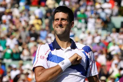 Novak Djokovic Fridge Magnet picture 108623