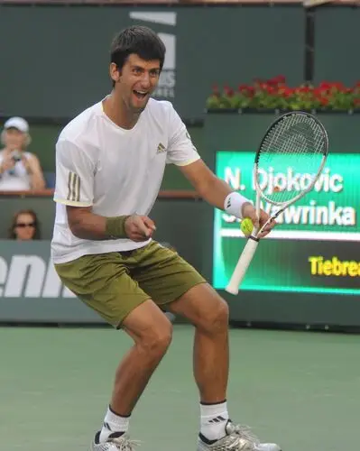 Novak Djokovic Fridge Magnet picture 165616