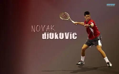 Novak Djokovic Fridge Magnet picture 165628