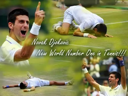 Novak Djokovic Kitchen Apron - idPoster.com