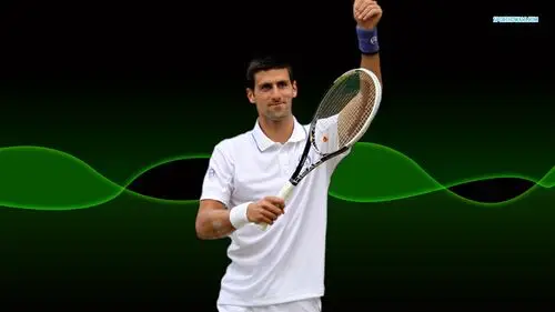 Novak Djokovic Wall Poster picture 165753