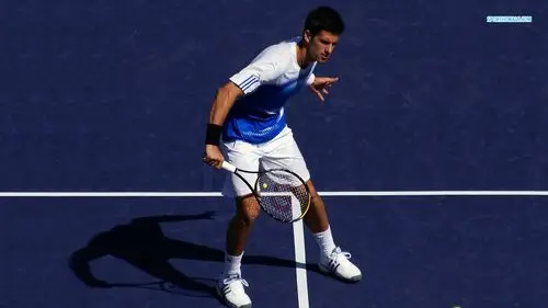 Novak Djokovic Men's Colored T-Shirt - idPoster.com