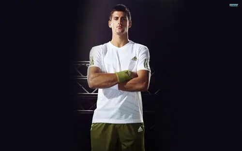 Novak Djokovic Wall Poster picture 165761