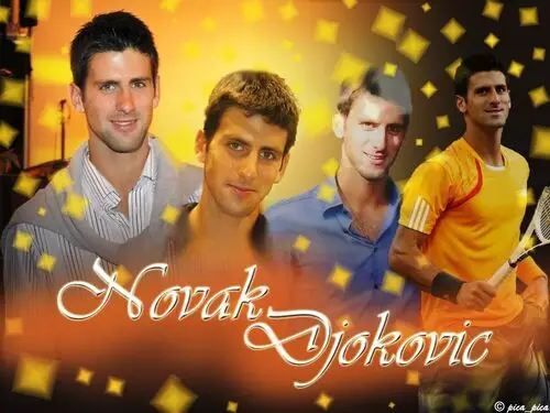 Novak Djokovic Fridge Magnet picture 165782