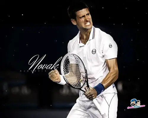 Novak Djokovic Fridge Magnet picture 165785