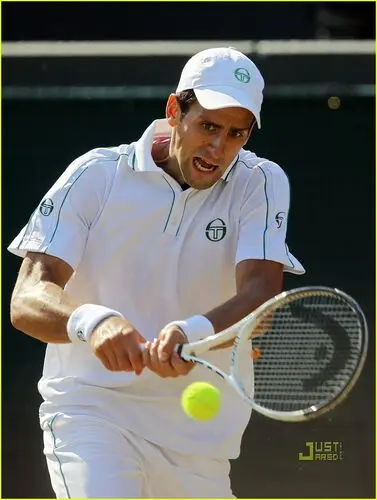 Novak Djokovic Fridge Magnet picture 165797