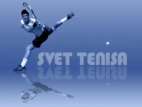 Novak Djokovic Fridge Magnet picture 165826
