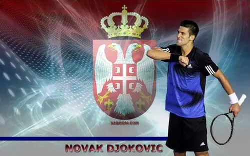 Novak Djokovic Wall Poster picture 165842