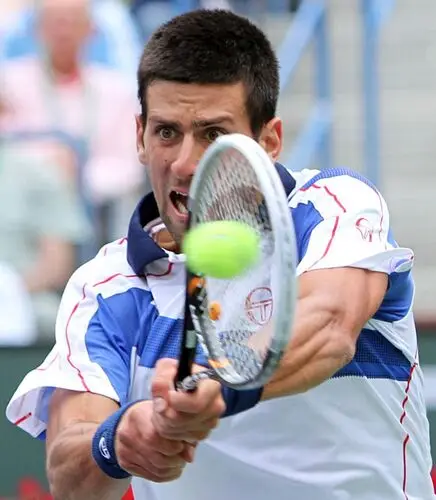Novak Djokovic Fridge Magnet picture 165903
