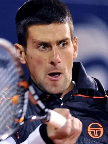 Novak Djokovic Fridge Magnet picture 305878