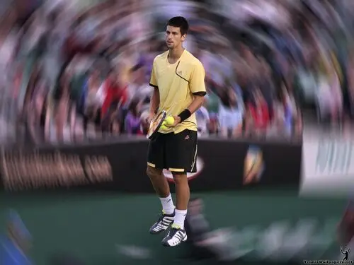 Novak Djokovic Image Jpg picture 84472