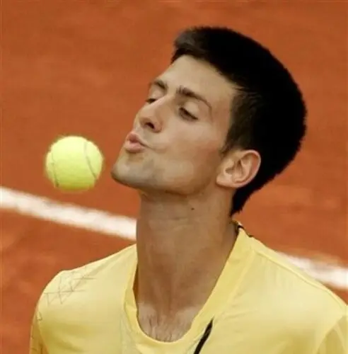 Novak Djokovic Fridge Magnet picture 84476