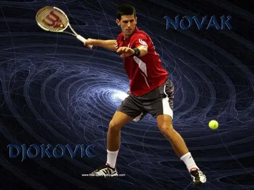 Novak Djokovic Fridge Magnet picture 84490