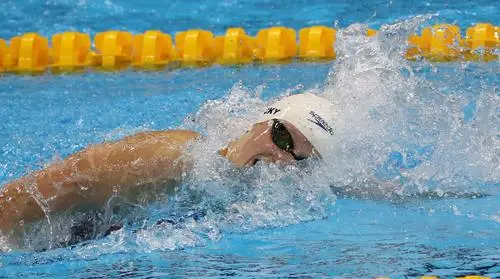 Olympic Games 2016 Swimming Image Jpg picture 536198