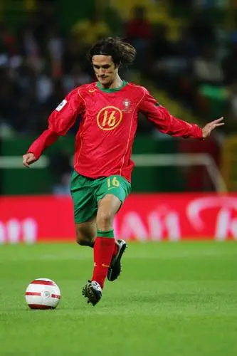 Portugal National football team Fridge Magnet picture 52864