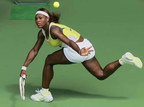 Serena Williams Wall Poster picture 18919