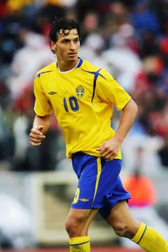 Sweden National football team Men's Colored  Long Sleeve T-Shirt - idPoster.com