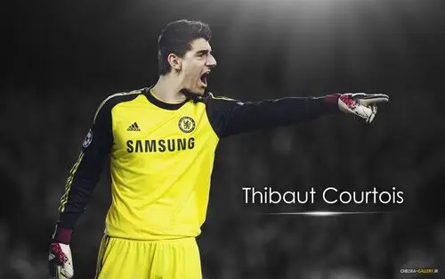 Thibaut Courtois Wall Poster picture 711038