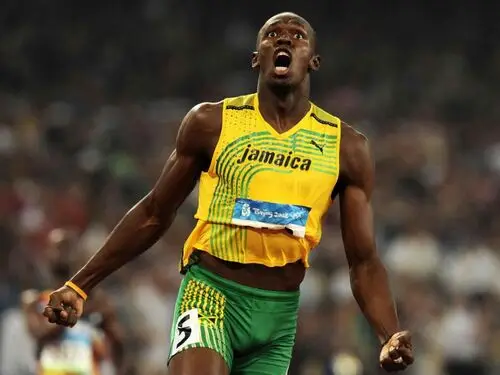 Usain Bolt Fridge Magnet picture 166026