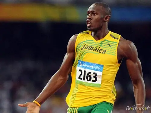 Usain Bolt Jigsaw Puzzle picture 166284