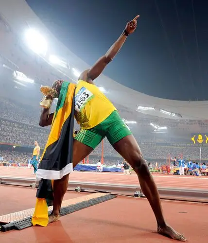Usain Bolt Fridge Magnet picture 20379