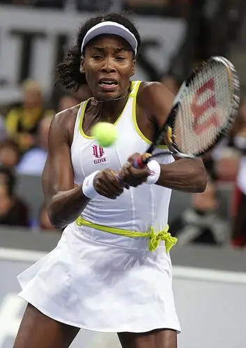 Venus Williams Wall Poster picture 103502