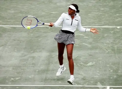 Venus Williams Wall Poster picture 20458