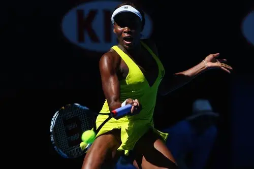 Venus Williams Wall Poster picture 306650