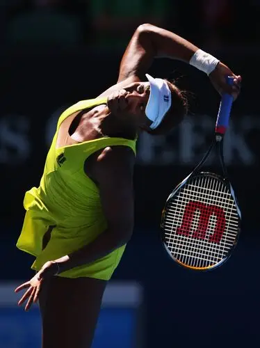 Venus Williams Wall Poster picture 306651