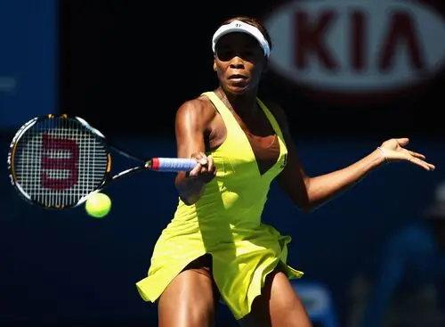 Venus Williams Wall Poster picture 306655