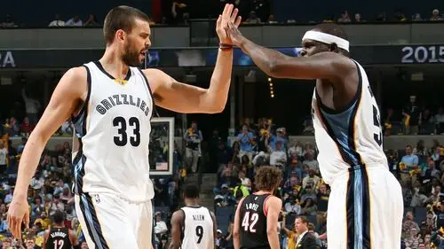 Zach Randolph Wall Poster picture 721120