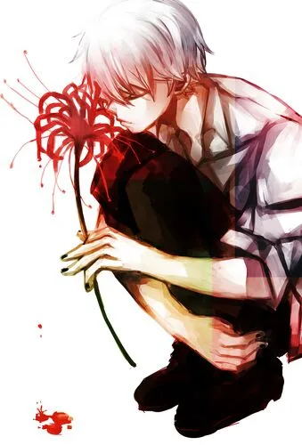 Tokyo Ghoul Wall Poster picture 768144