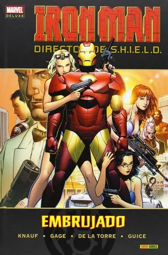 Iron Man - Director of S.H.I.E.L.D Wall Poster picture 1025647