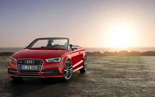 2014 Audi S3 Cabriolet Protected Face mask - idPoster.com