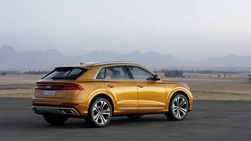 2018 Audi Q8 Protected Face mask - idPoster.com