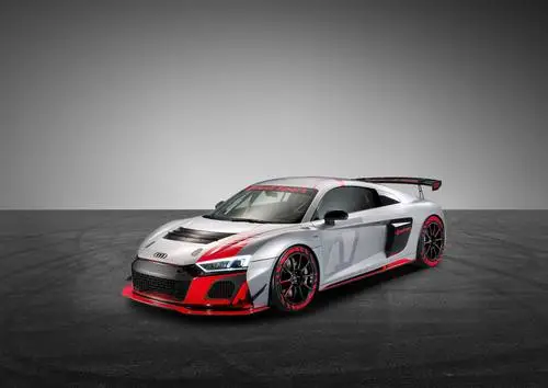 2020 Audi R8 GT4 Protected Face mask - idPoster.com