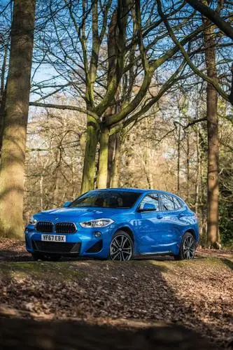 2018 BMW X2 xDrive20d M Sport - UK version Wall Poster picture 963402